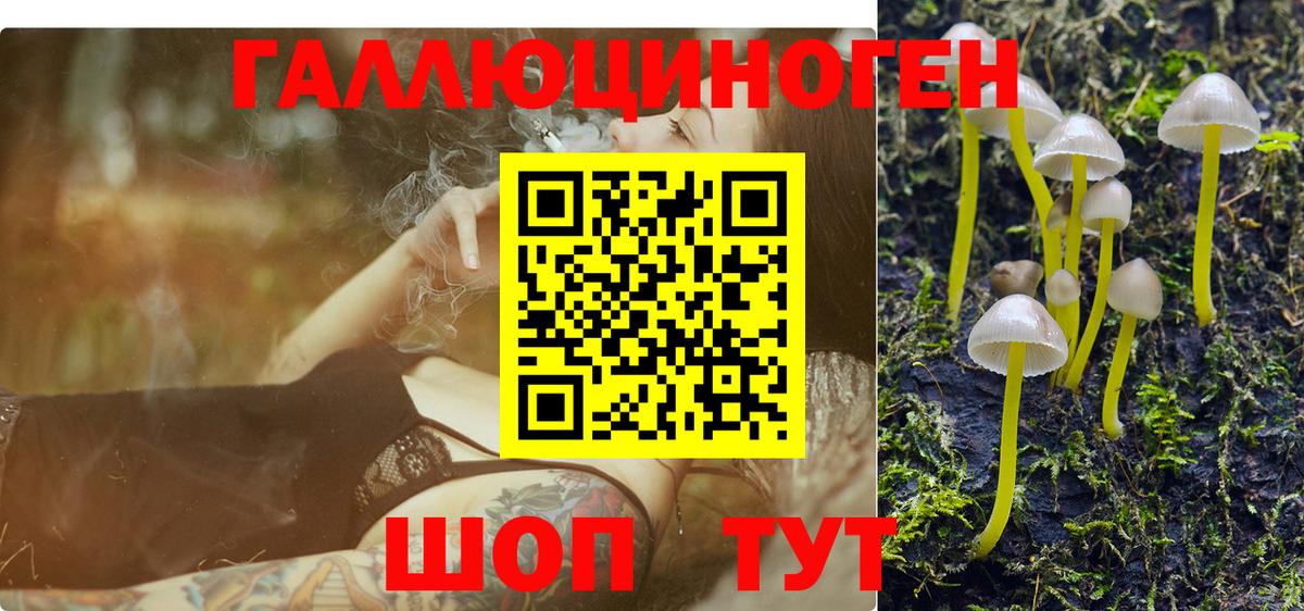 Псилоцибиновые грибы Magic Shrooms Городец